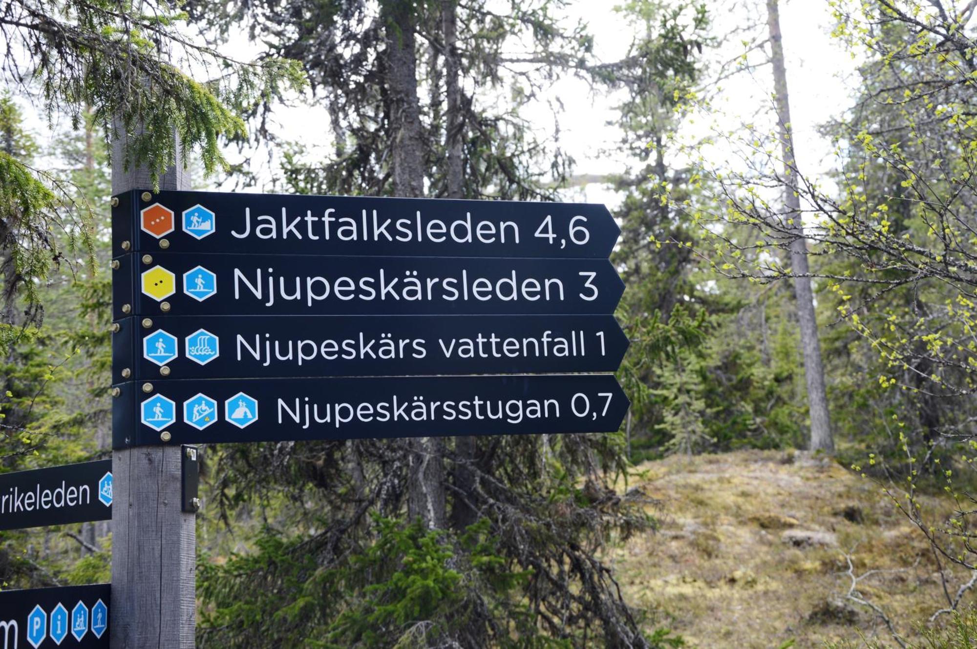 16 - Fulufjellets Nasjonalparker - Natur-, Dyre- Og Fugleopplevelser Ljordal Exterior photo