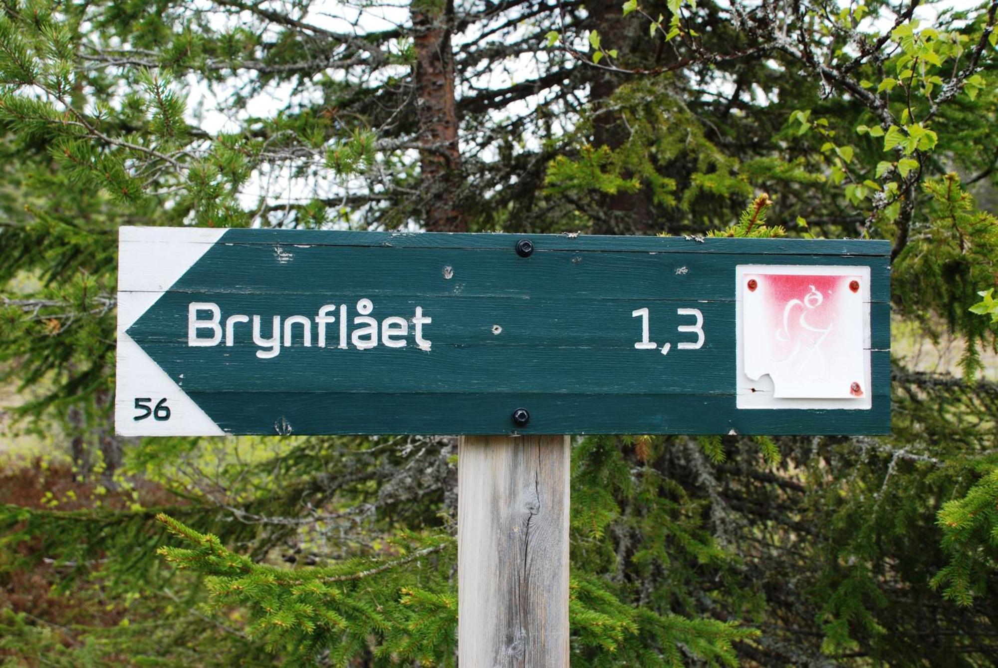 16 - Fulufjellets Nasjonalparker - Natur-, Dyre- Og Fugleopplevelser Ljordal Exterior photo