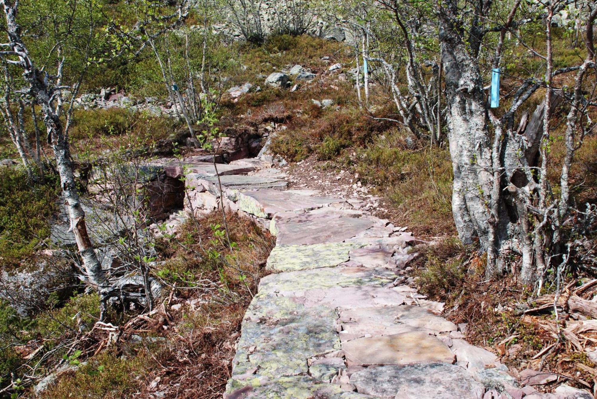 16 - Fulufjellets Nasjonalparker - Natur-, Dyre- Og Fugleopplevelser Ljordal Exterior photo