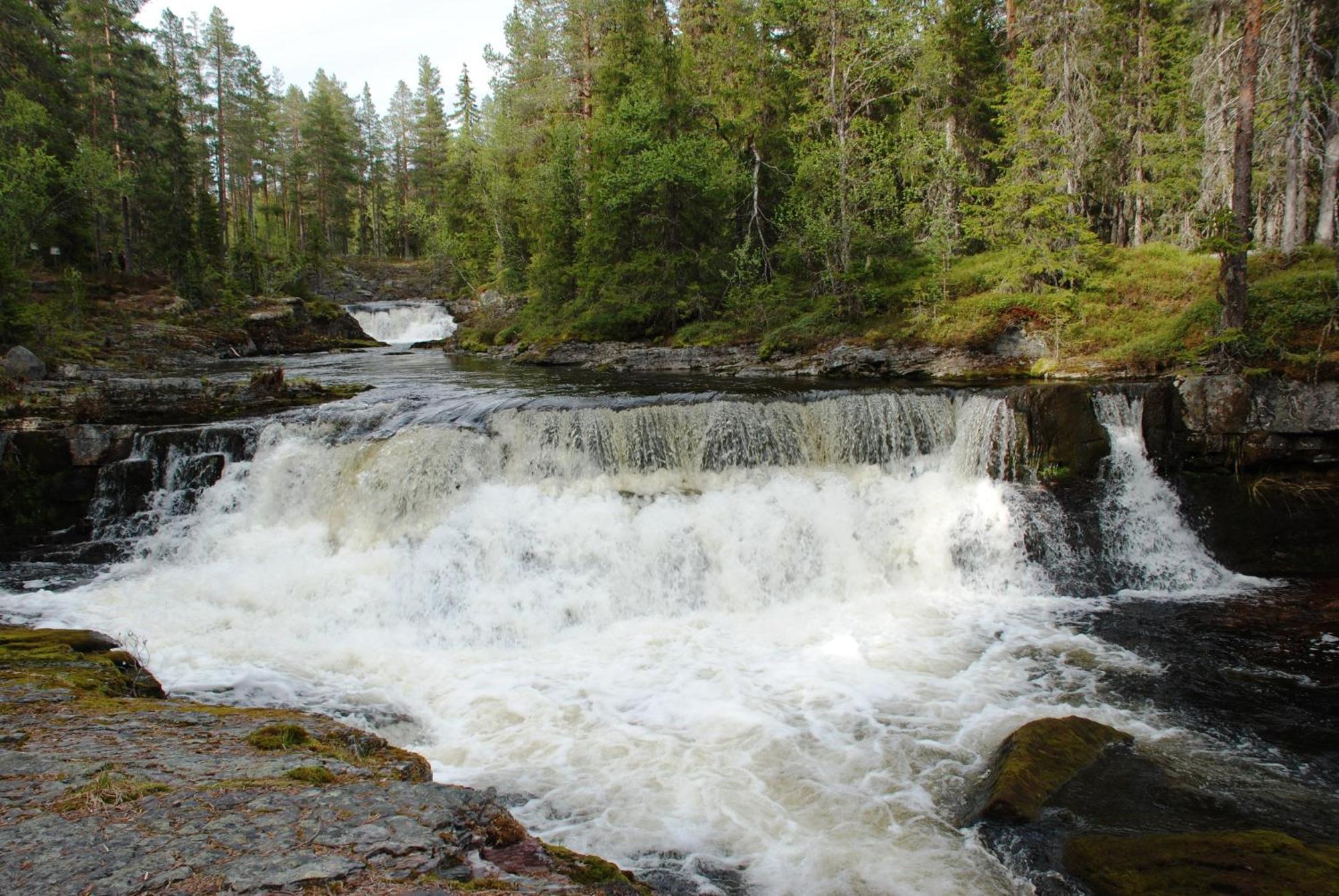 16 - Fulufjellets Nasjonalparker - Natur-, Dyre- Og Fugleopplevelser Ljordal Exterior photo